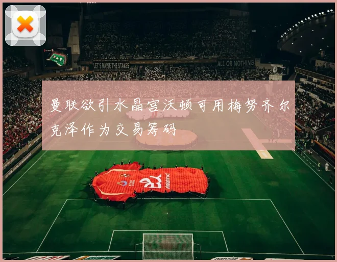曼联欲引水晶宫沃顿可用梅努齐尔克泽作为交易筹码