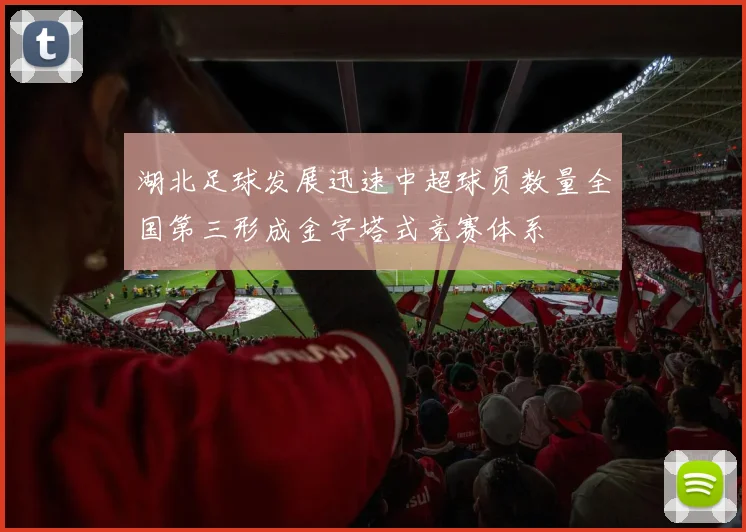 湖北足球发展迅速中超球员数量全国第三形成金字塔式竞赛体系