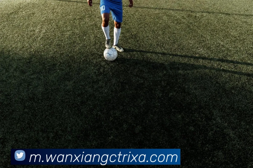 多媒体互动体验